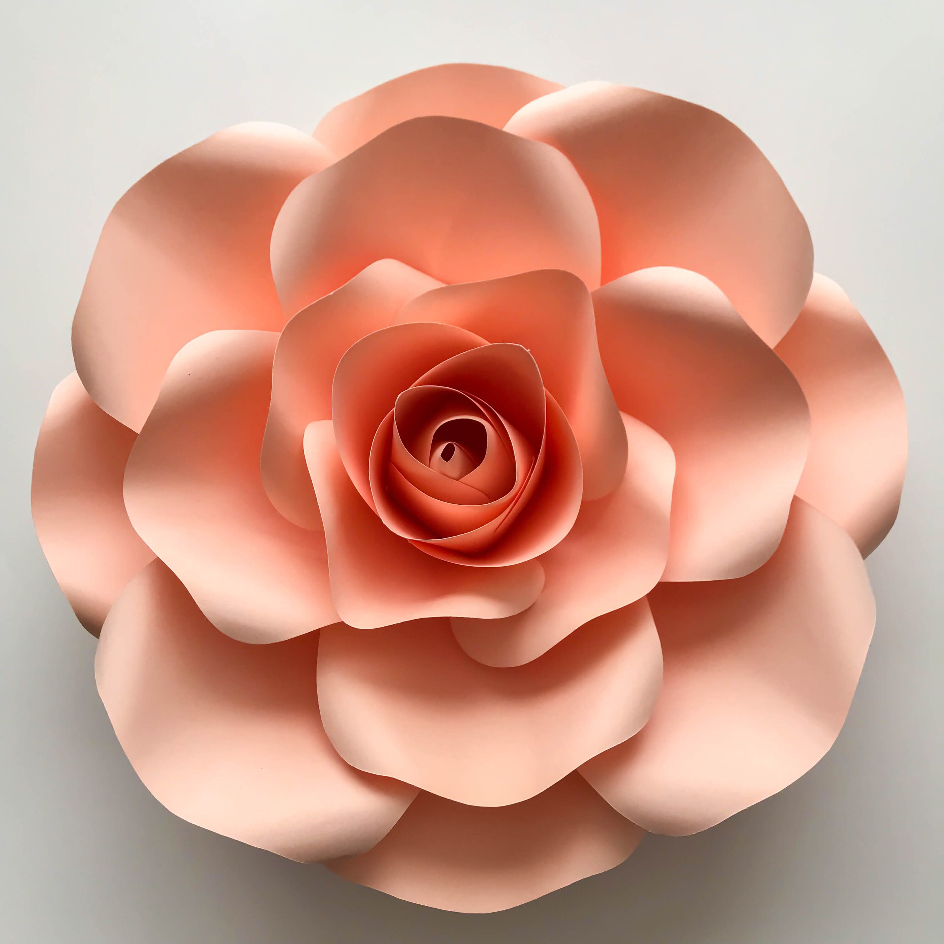 Free Free 228 Rose Cricut Flower Template Svg SVG PNG EPS DXF File