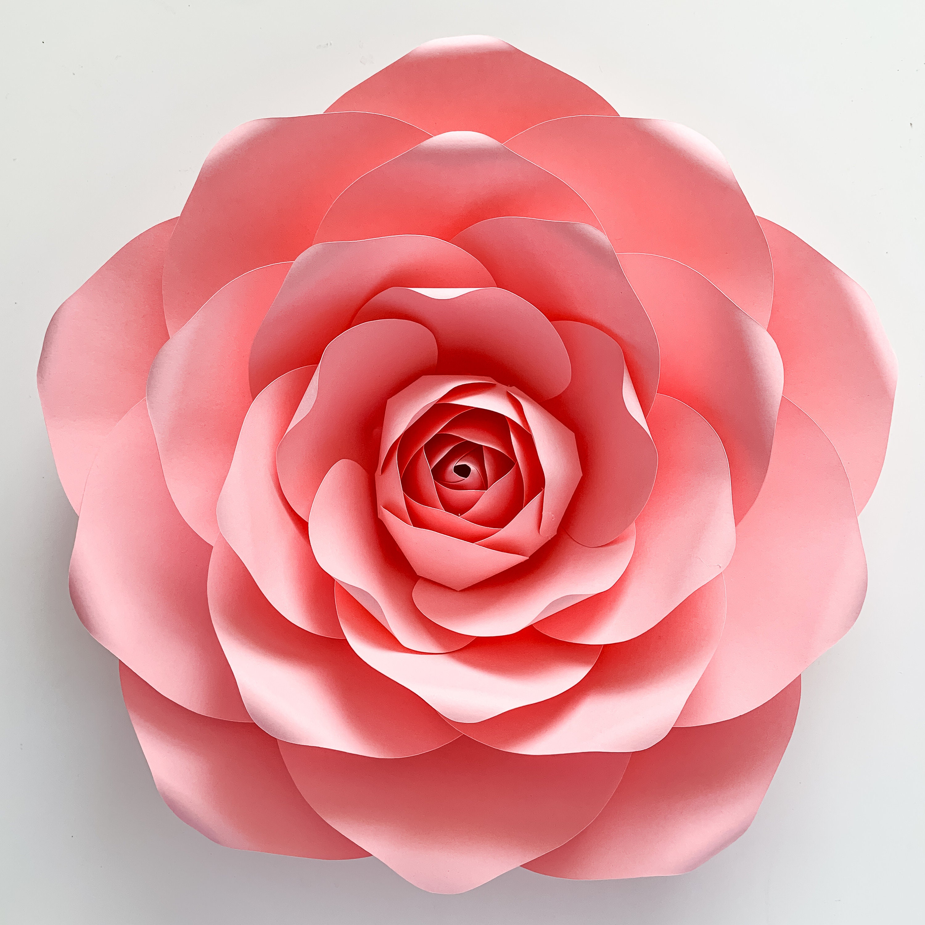PDF Petal 173 Paper Flowers template Printable for Trace ...
