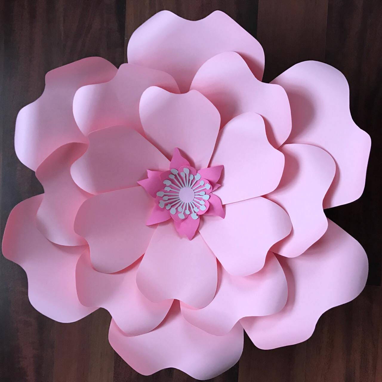 Petal paragraph questions picture