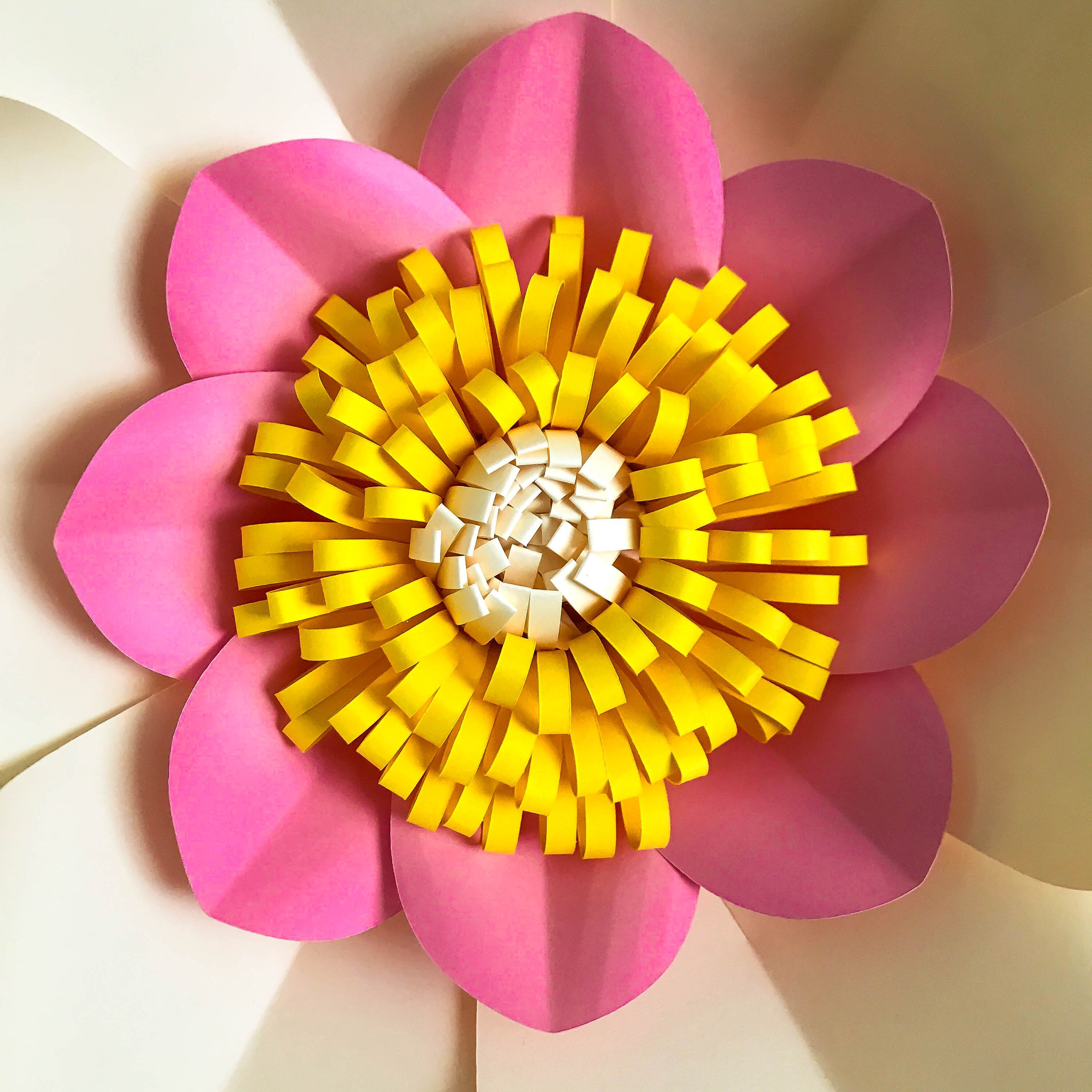 Download SVG PNG DXF Petal 8 Paper Flowers Template Cut File with Free Base and Flat Centers for Cutting ...
