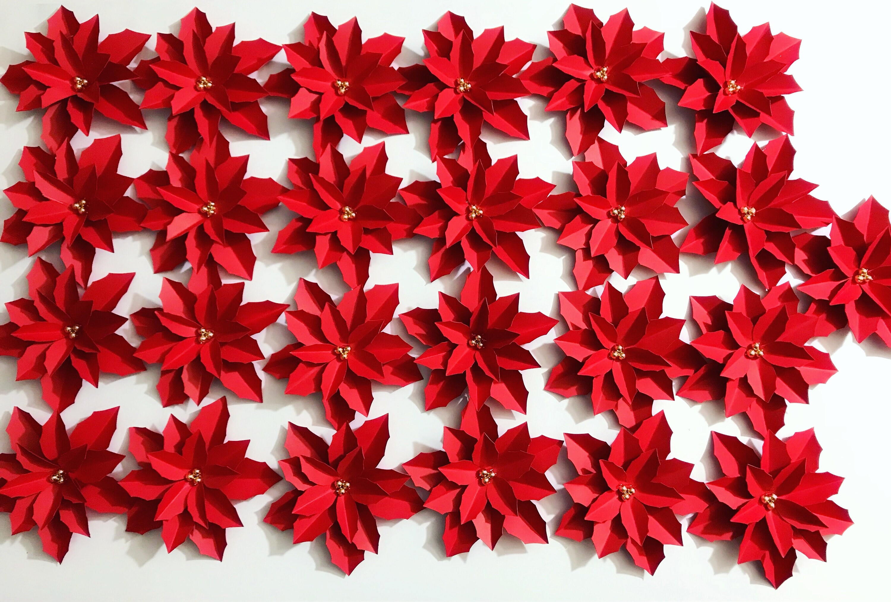 Download SVG PNG DXF 4 designs Poinsettia for Cricut and Cameo ...