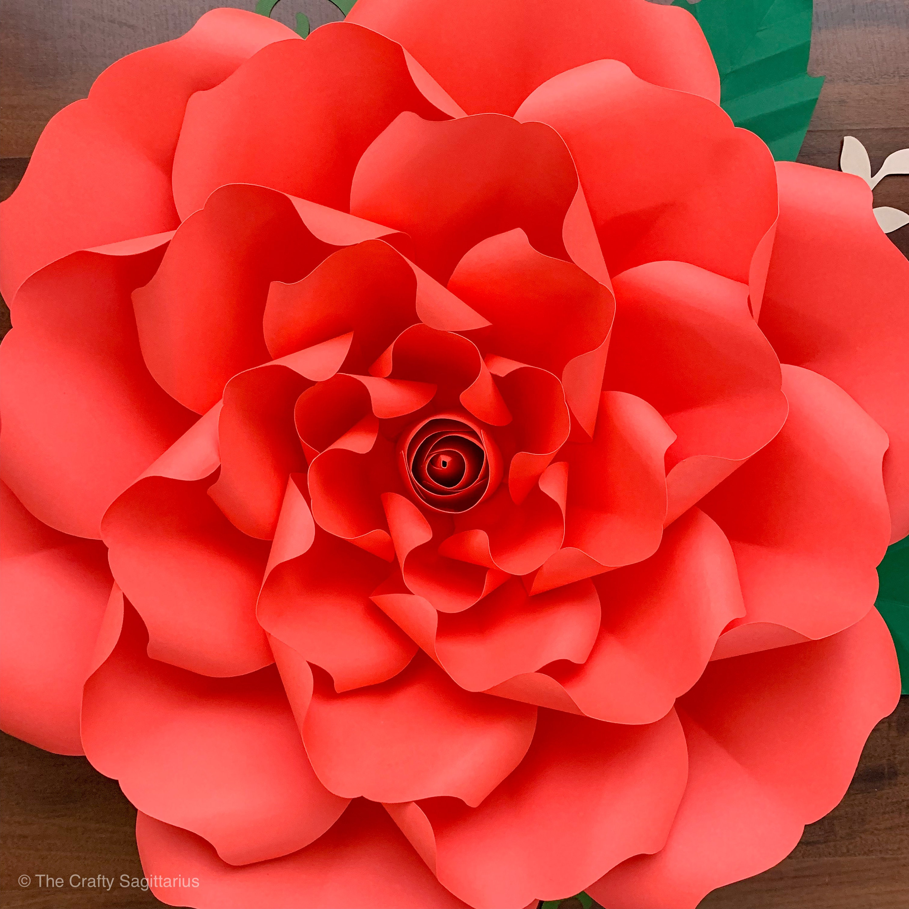 Download SVG DXF Petal 127 Paper Flowers Template Cricut Silhouette ...