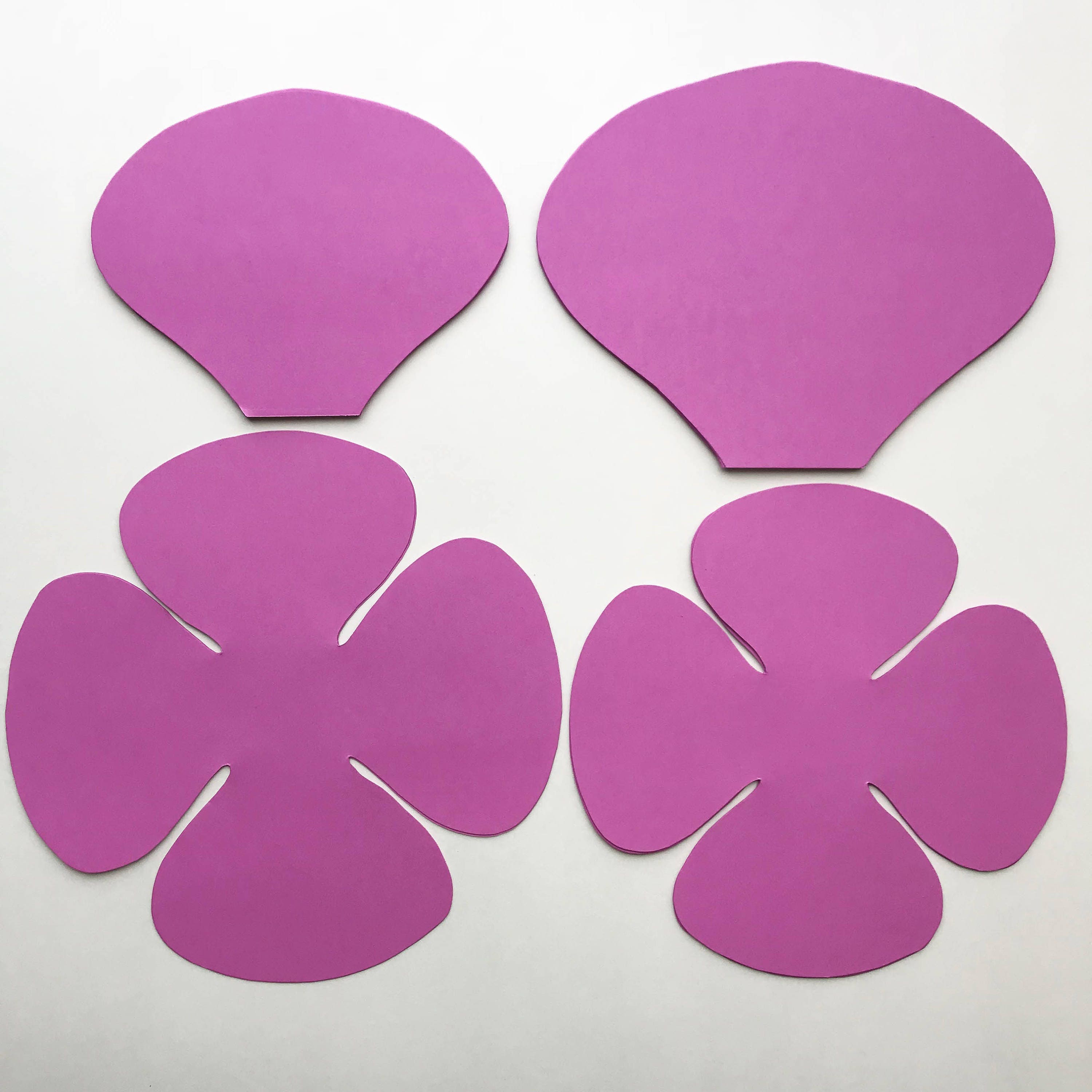 how-to-make-a-cricut-paper-flower-free-flower-templates-and-a-video