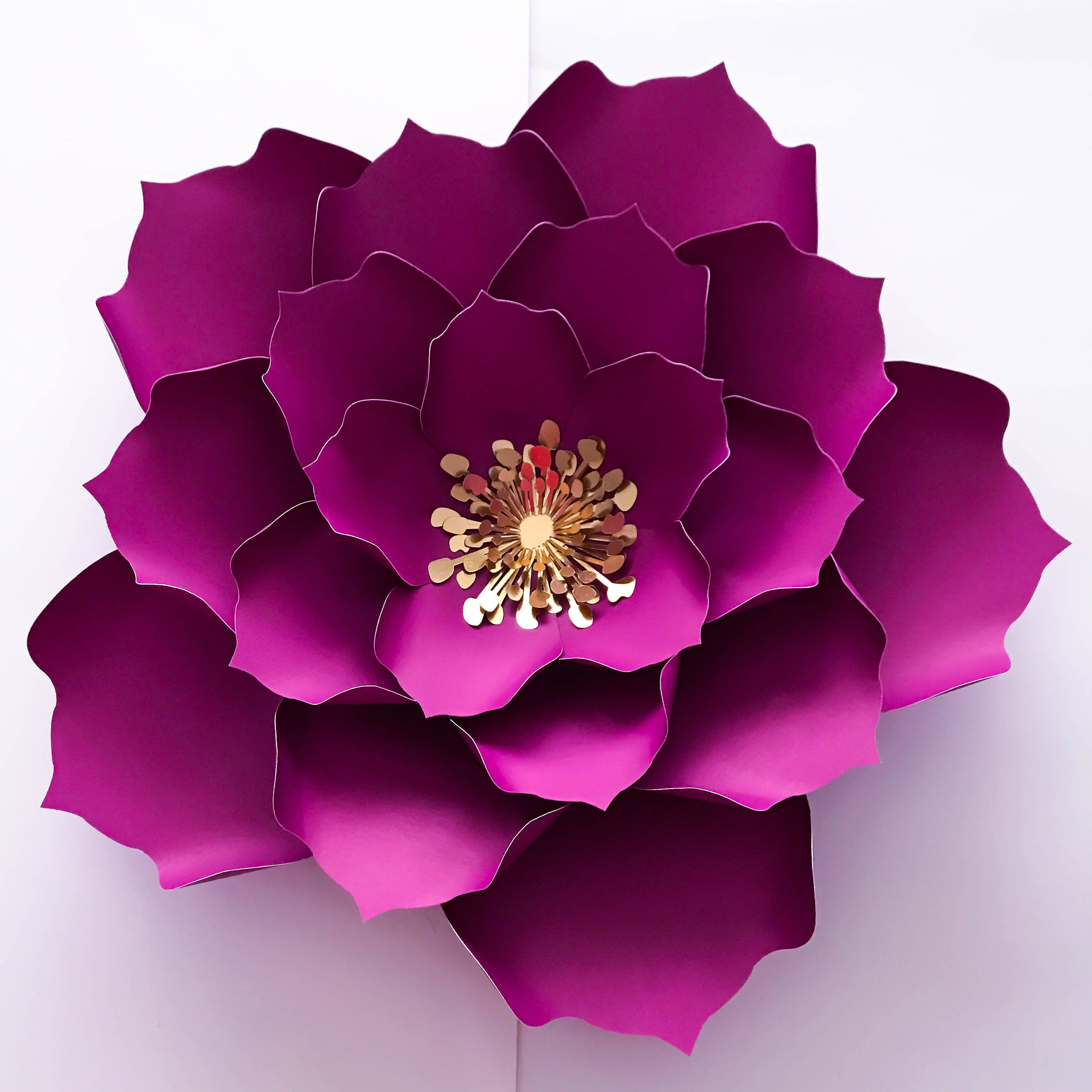 Download SVG PNG DXF Petal 6 Paper Flowers Cut Files for Cutting Machines no resizing needed includes ...
