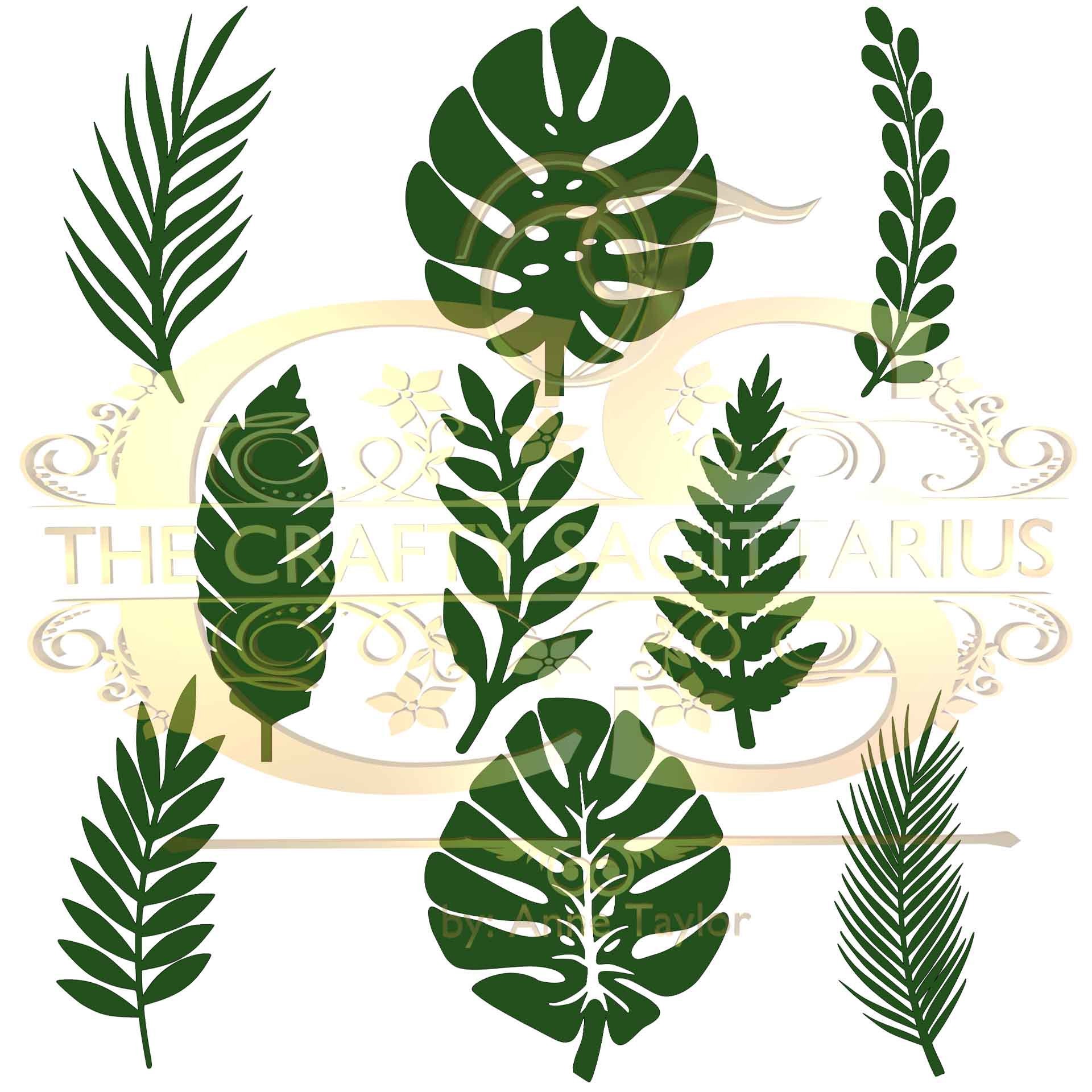 Download Set 13 SVG PNG DXF 9 different Tropical Leaves 1 for Paper ...