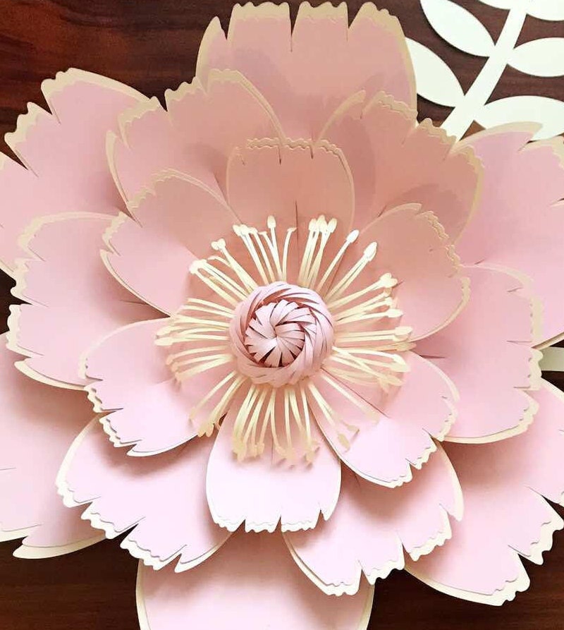 Buy Paper Flowers SVG Digital Flower Center Spring Charlie Online in India - Etsy Buy Paper Flowers SVG Digital Flower Center Spring Charlie Online in India - Etsy