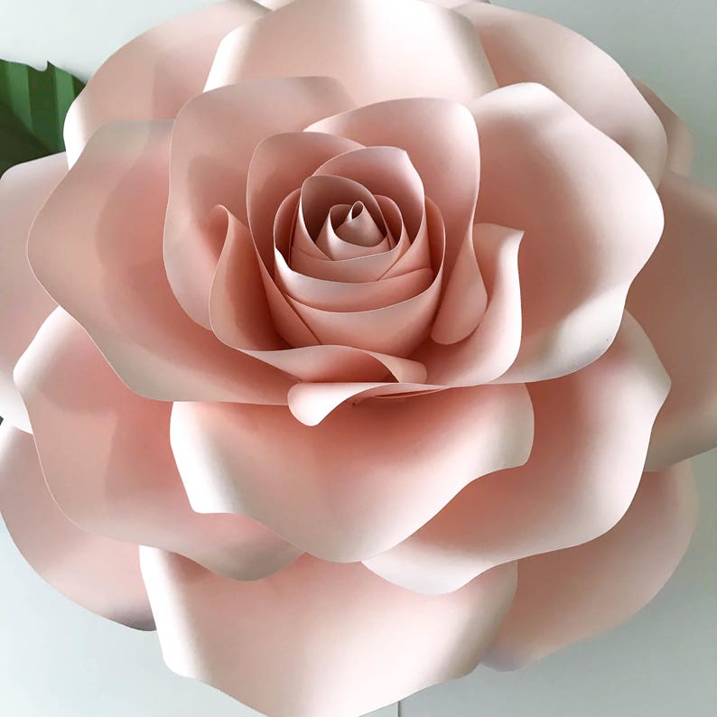 Paper Flowers SVG New Large Rose Template DIY Cricut and | Etsy Canada