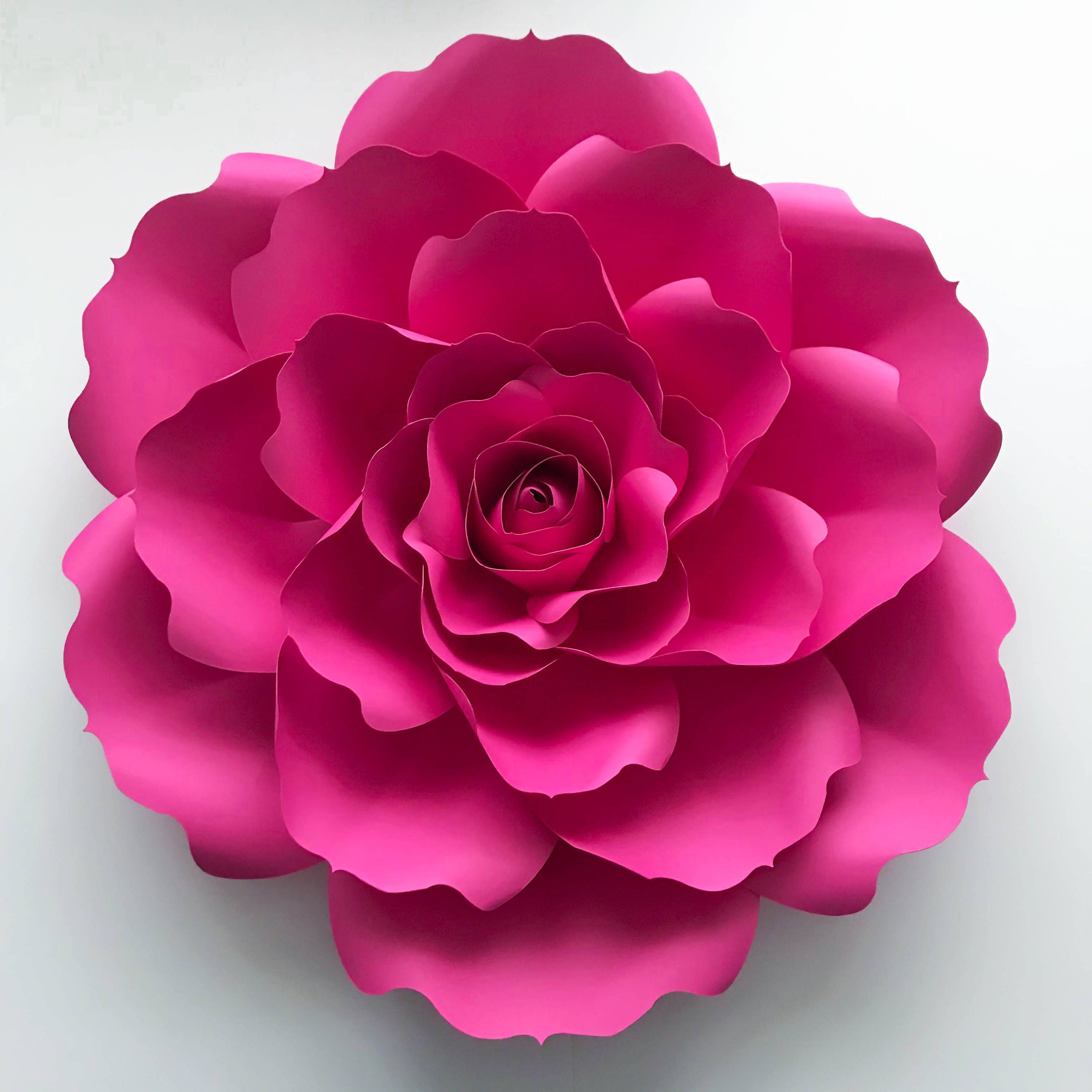 DIY Giant Paper Flowers with Templates