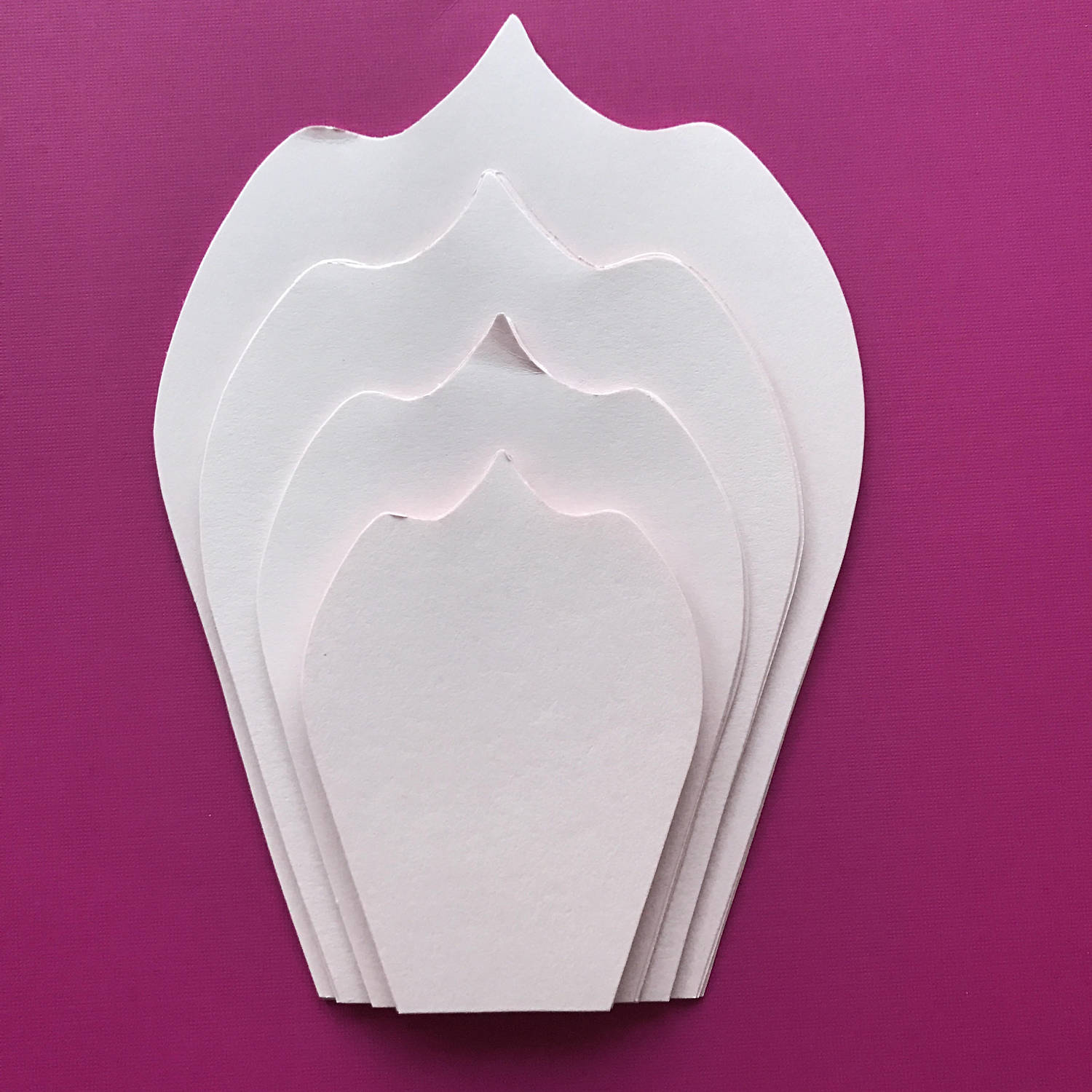 pdf petal 5 printable paper flowers template for trace and cut purposes