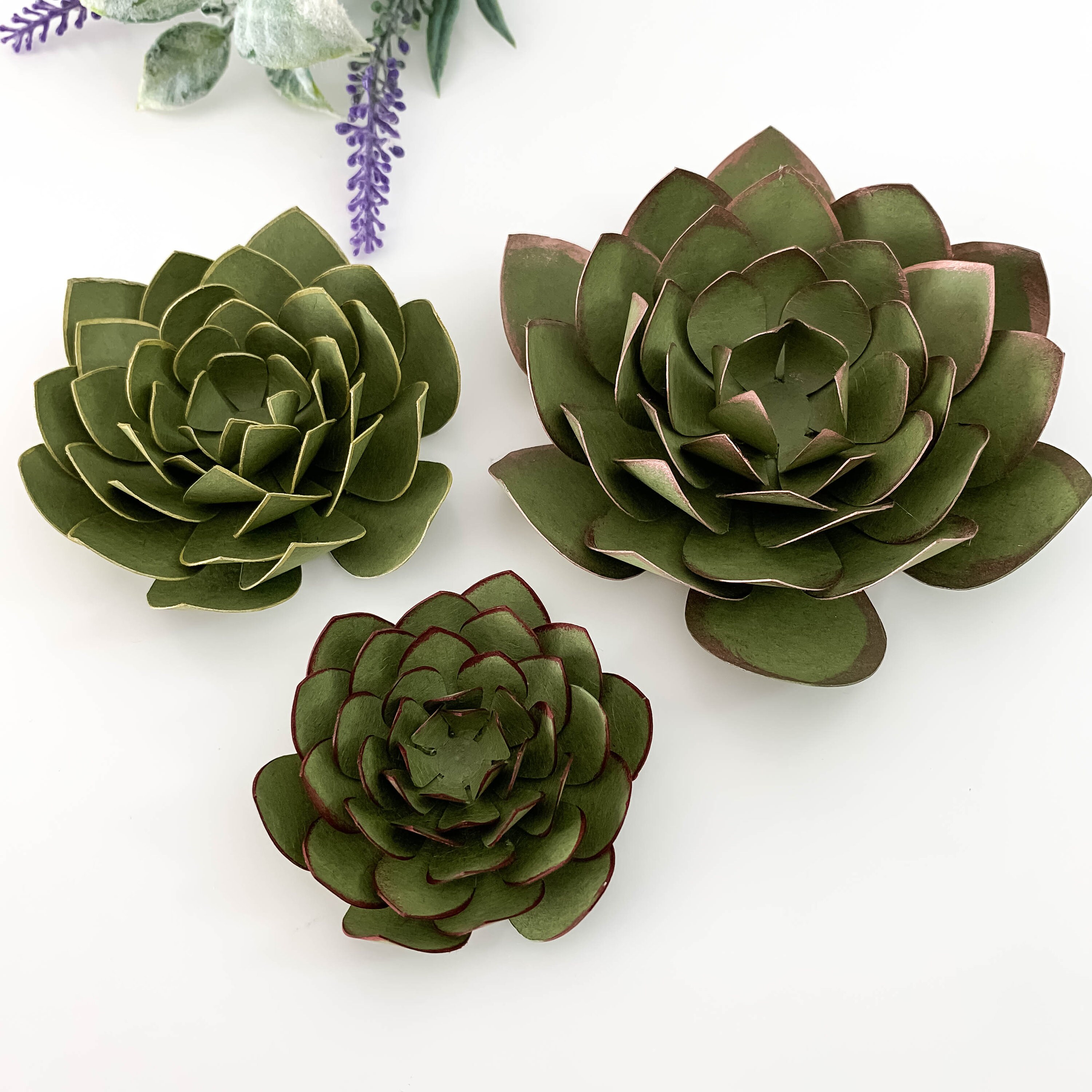 Download SVG PNG DXF Succulent Cut Files Cutting Machine No resizing needed can make 3 different sizes ...