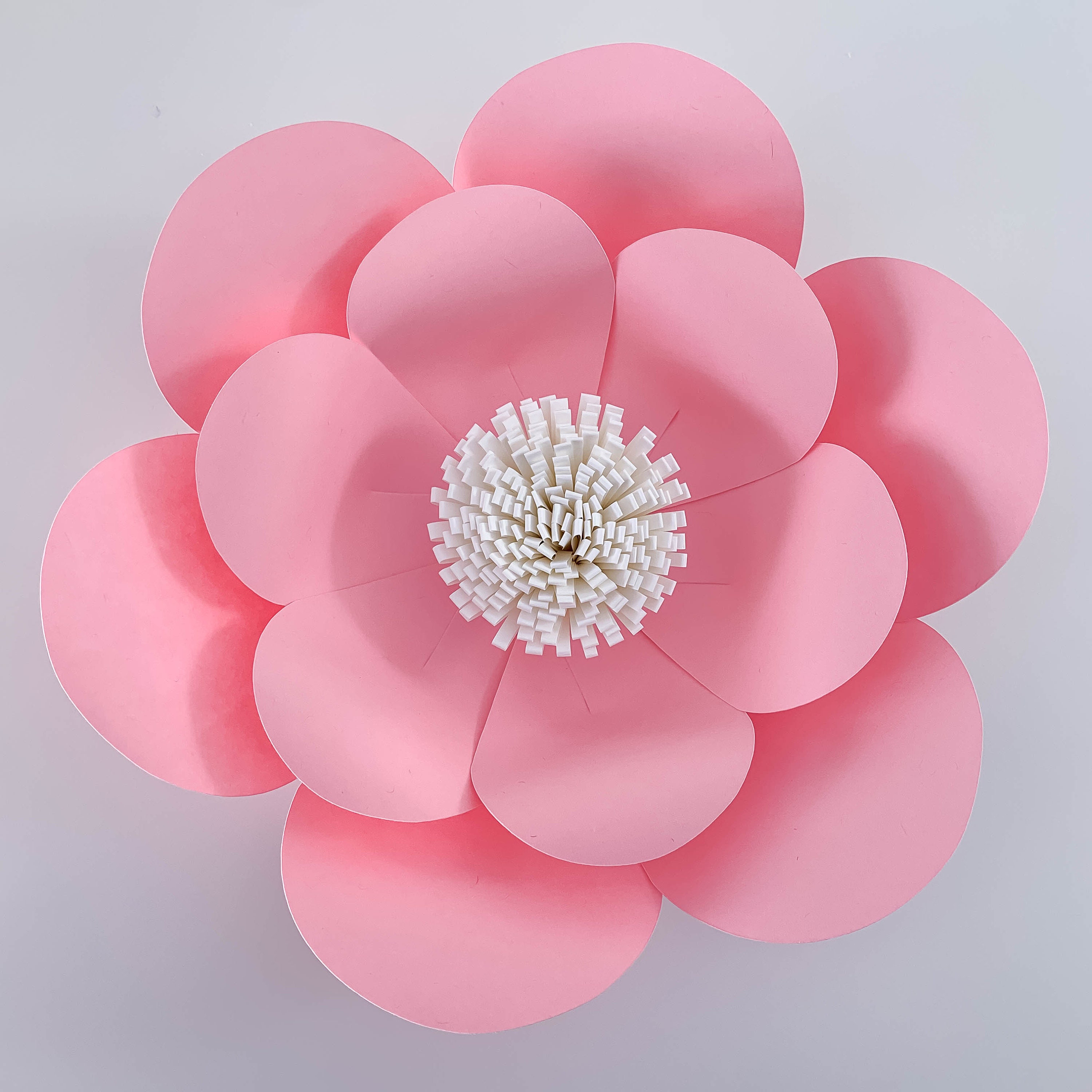 Free Free 349 8 Petal Flower Template Svg SVG PNG EPS DXF File