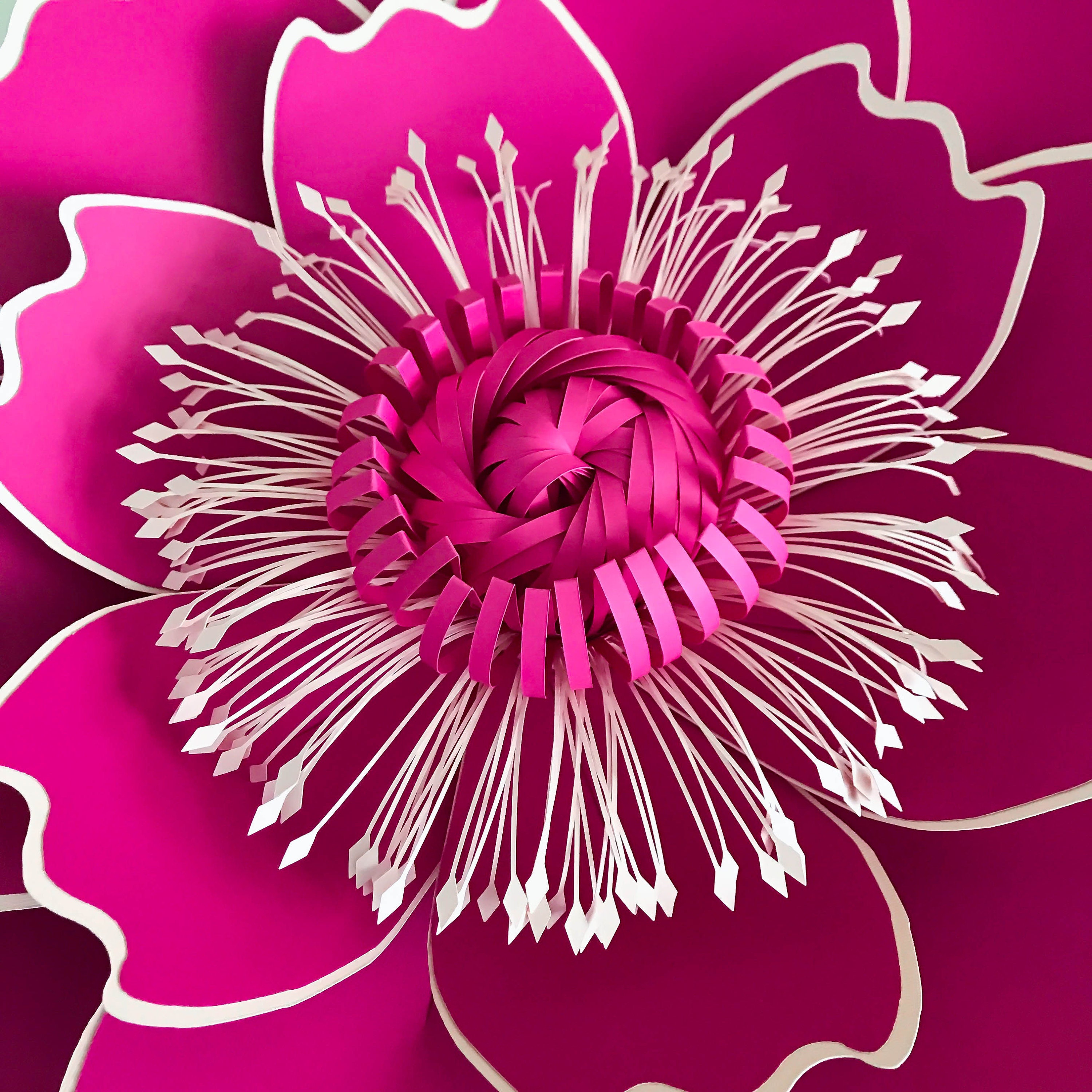 Download SVG PNG DXF Petal 7 Cut Files for Cutting Machines like ...