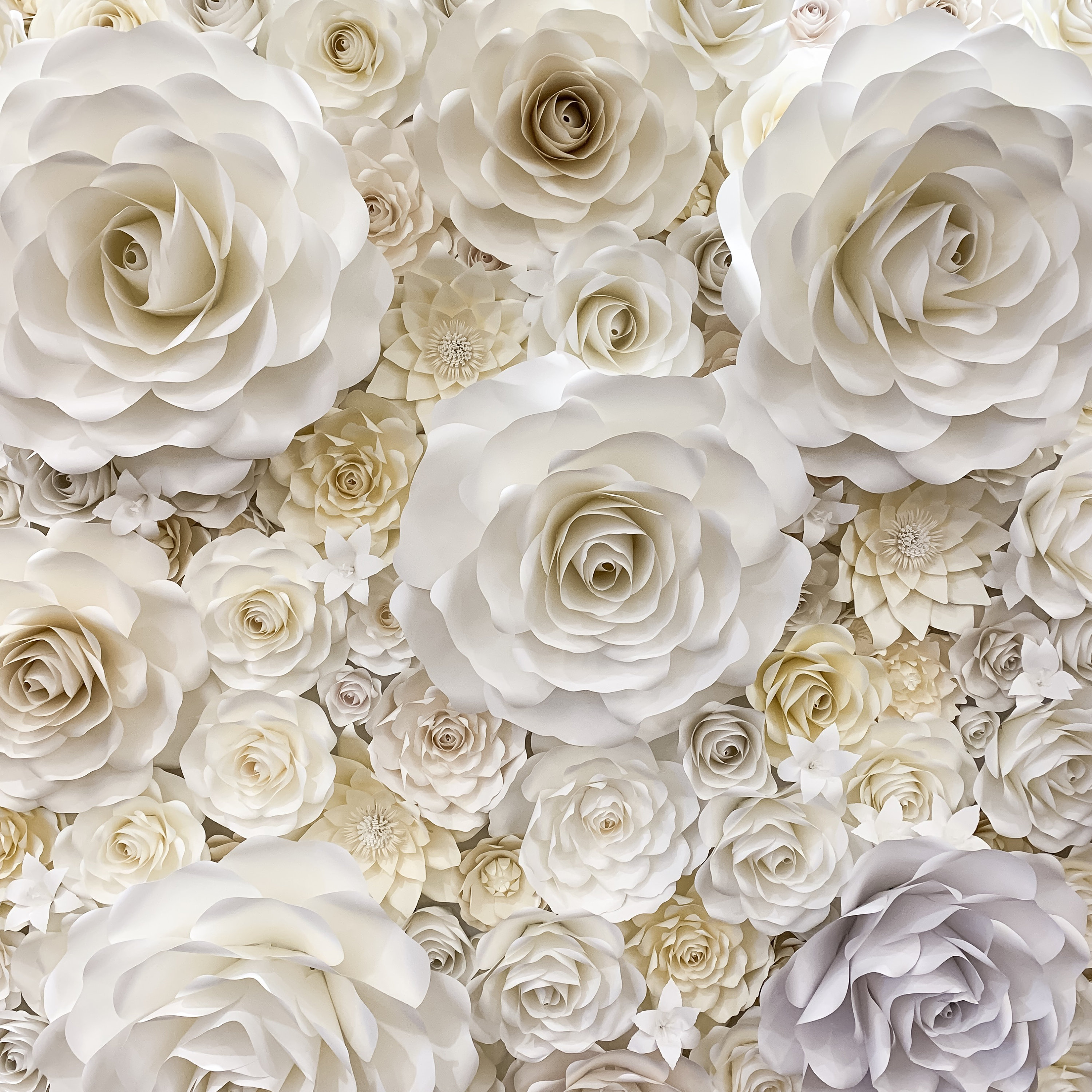 Paper Flower Wall Flower templates Recreate the massive Paper Flower Wall I made in SVG DXF PDF