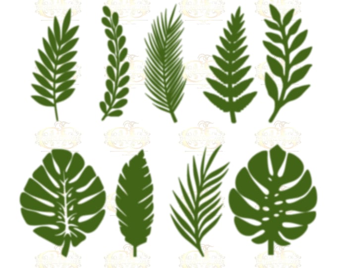 Set 13 SVG PNG DXF 9 different Tropical Leaves 1 for Paper Flowers Machine use Only Cricut and Silhouette Diy and Handmade Leaves Templates