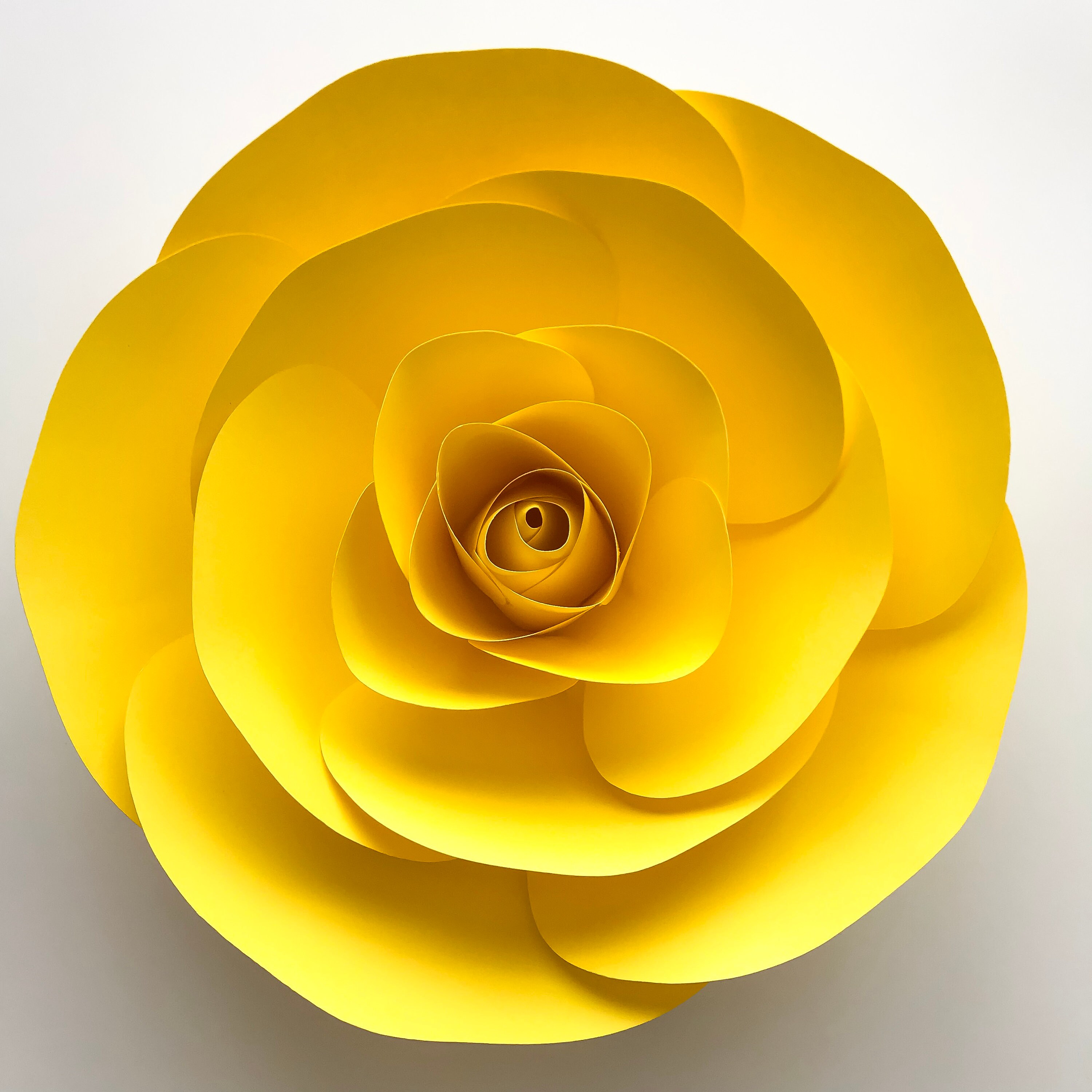 Paper Flowers PDF Petal 157 Paper Flower template, Digital Version