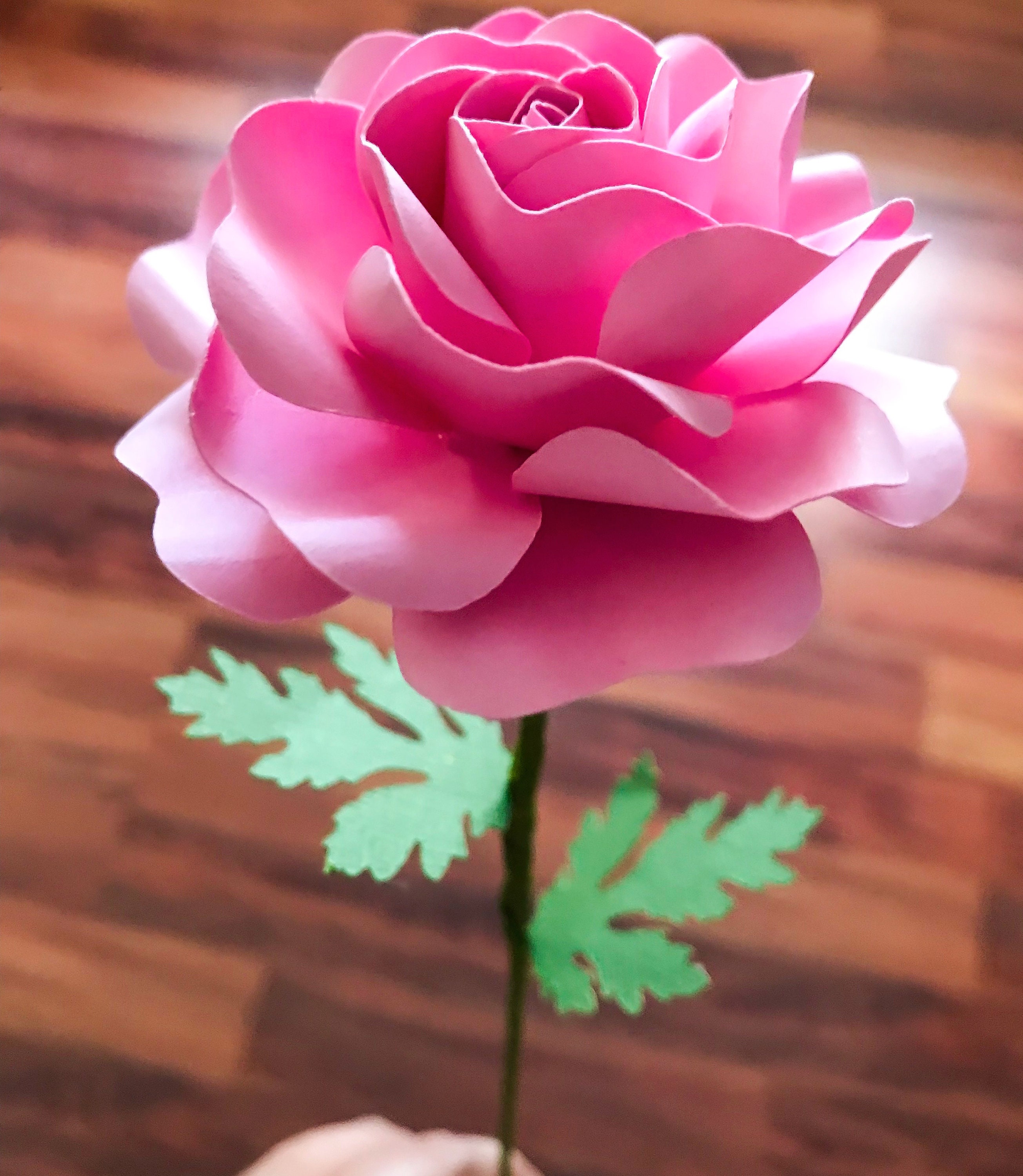 Download Svg PNG Dxf Components for Tiny Paper Flowers on a Stem ...