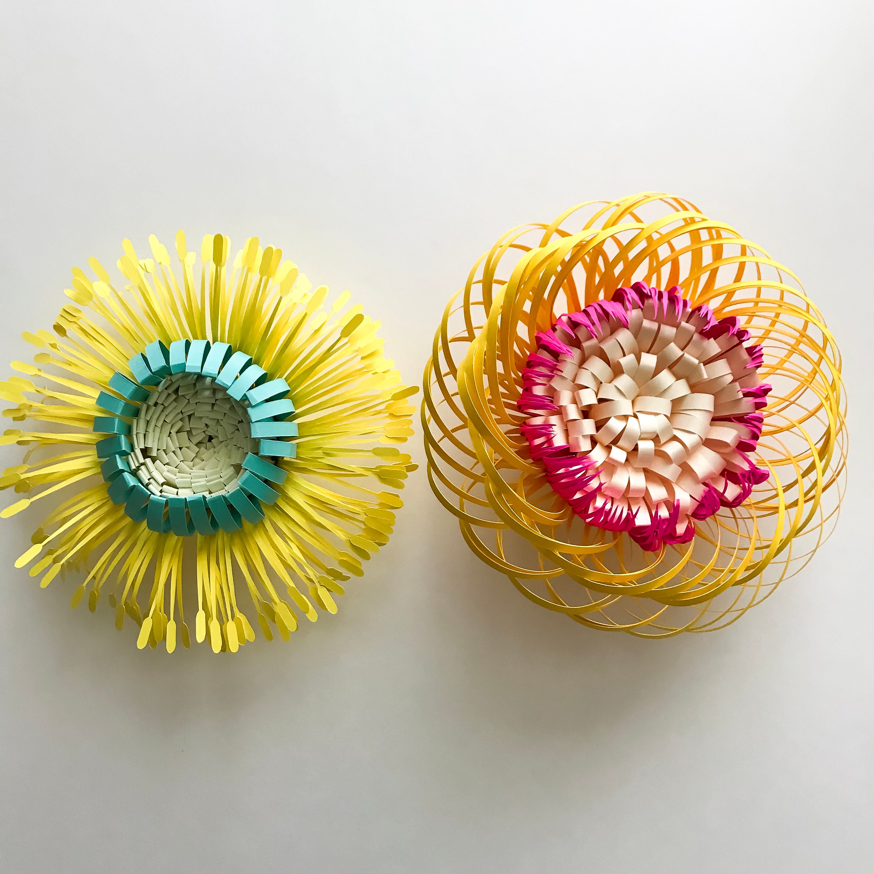 Download Paper Flowers -SVG/PNG Fluffy Center 2 / 3 Components: for ...