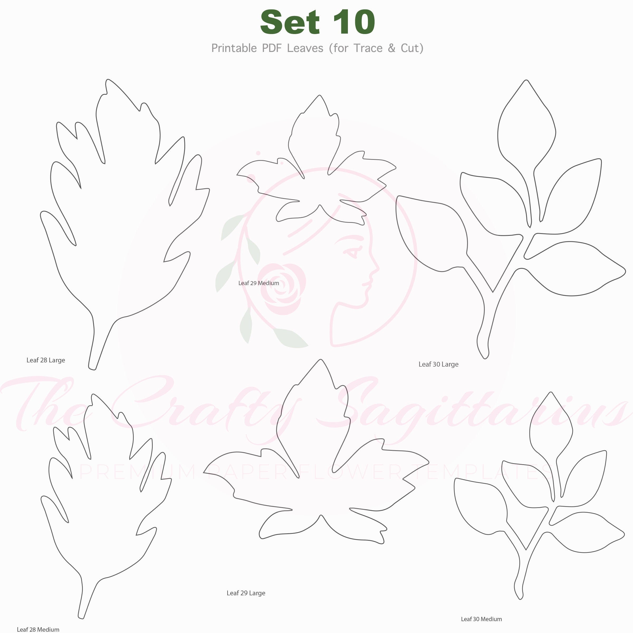 Leaf Outlines To Trace