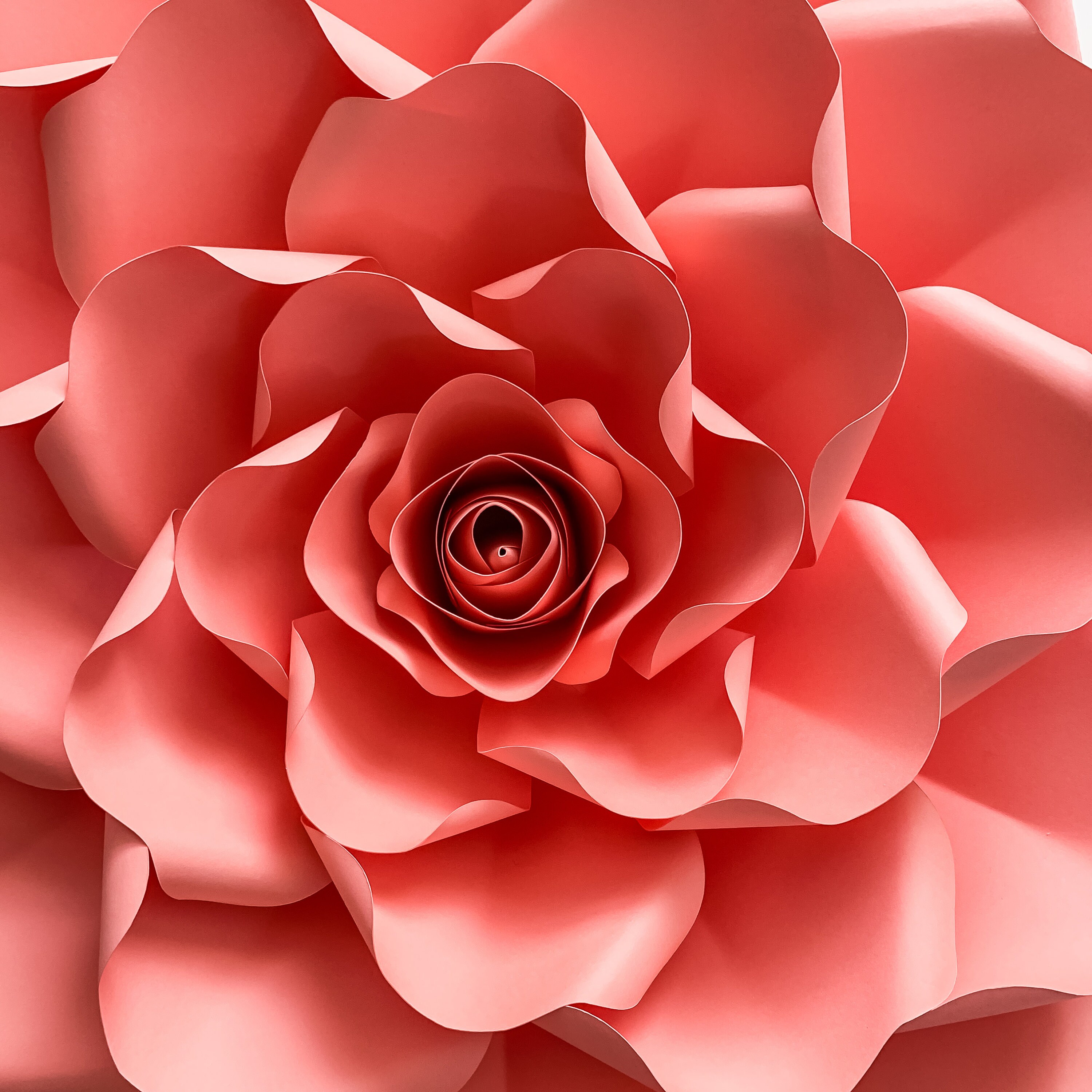 Printable Free Paper Flower Petal Templates ALL18PDF Templates