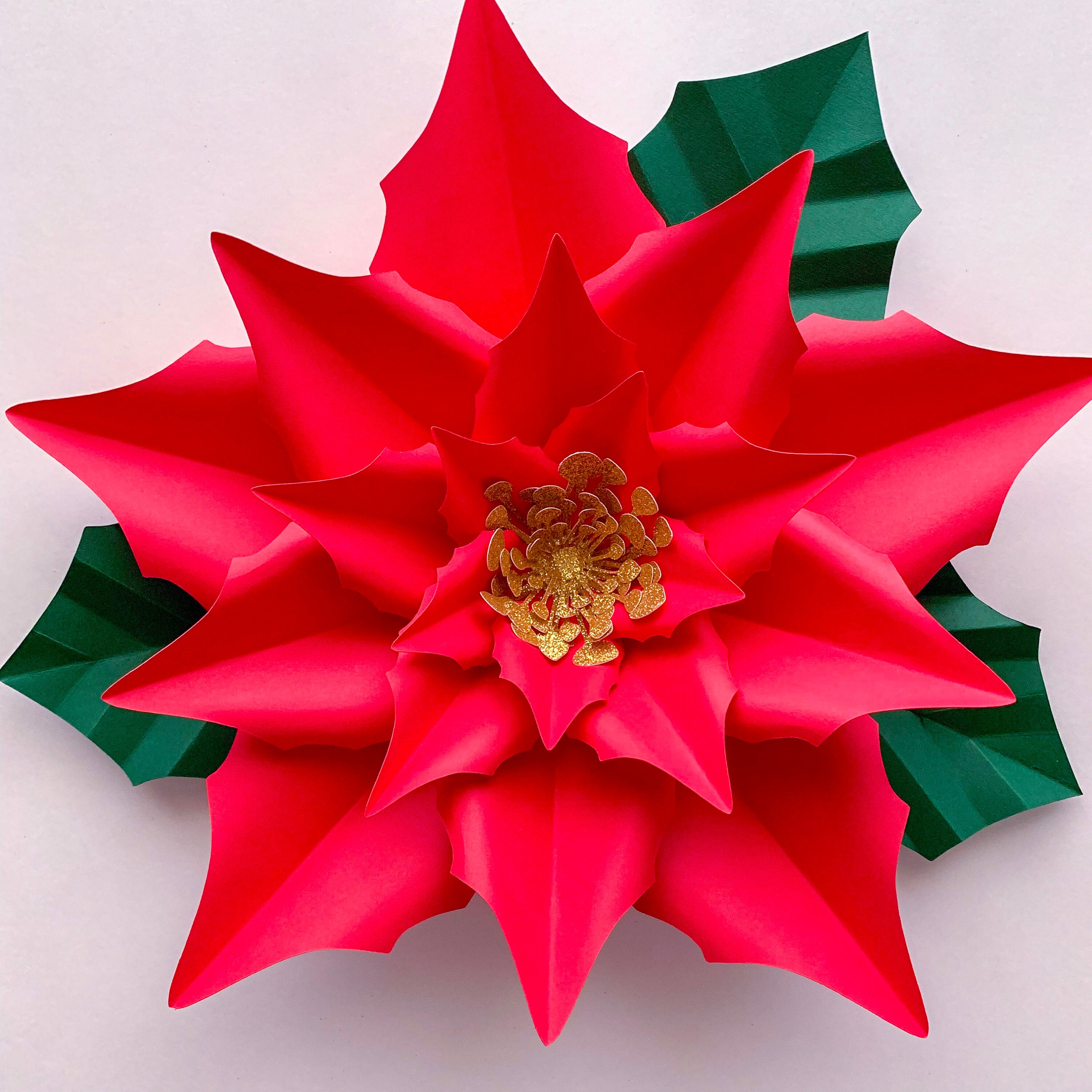 8 And 15 New Poinsettia Paper Flowers Template Cricut Silhouette 