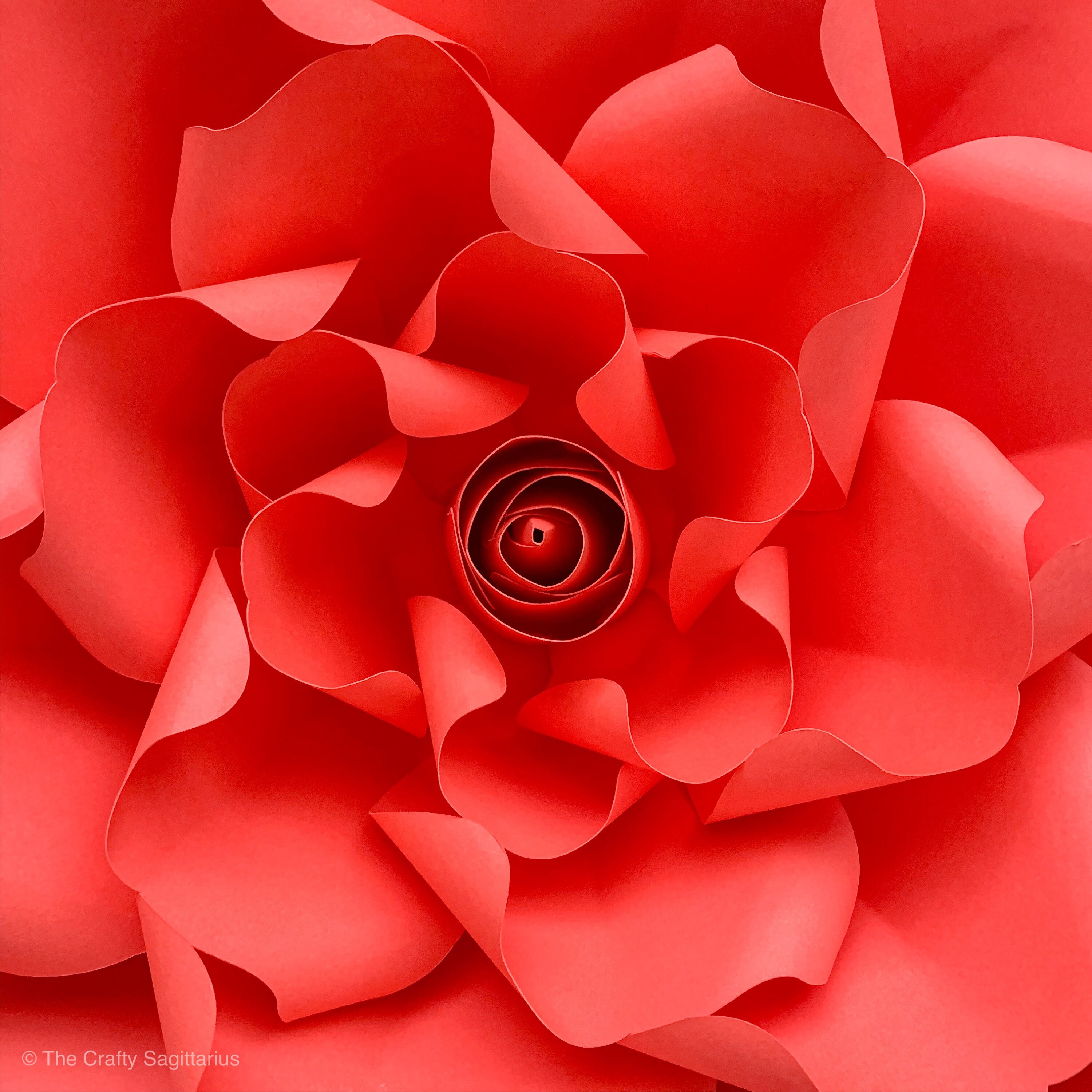 Free Free 349 8 Petal Flower Template Svg SVG PNG EPS DXF File