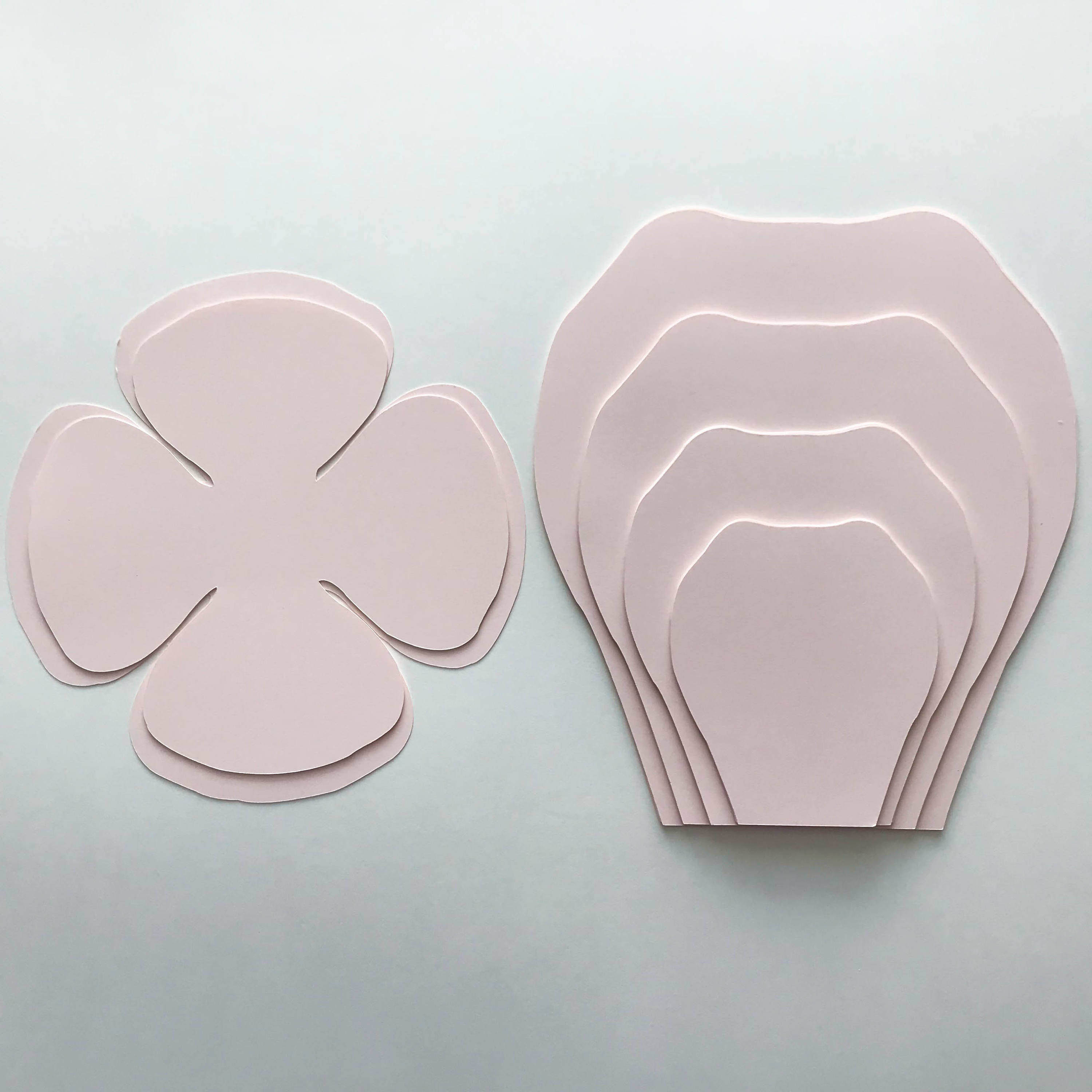 PDF Petal 19 Paper Flowers Template W Rose Bub Center Instant Download 