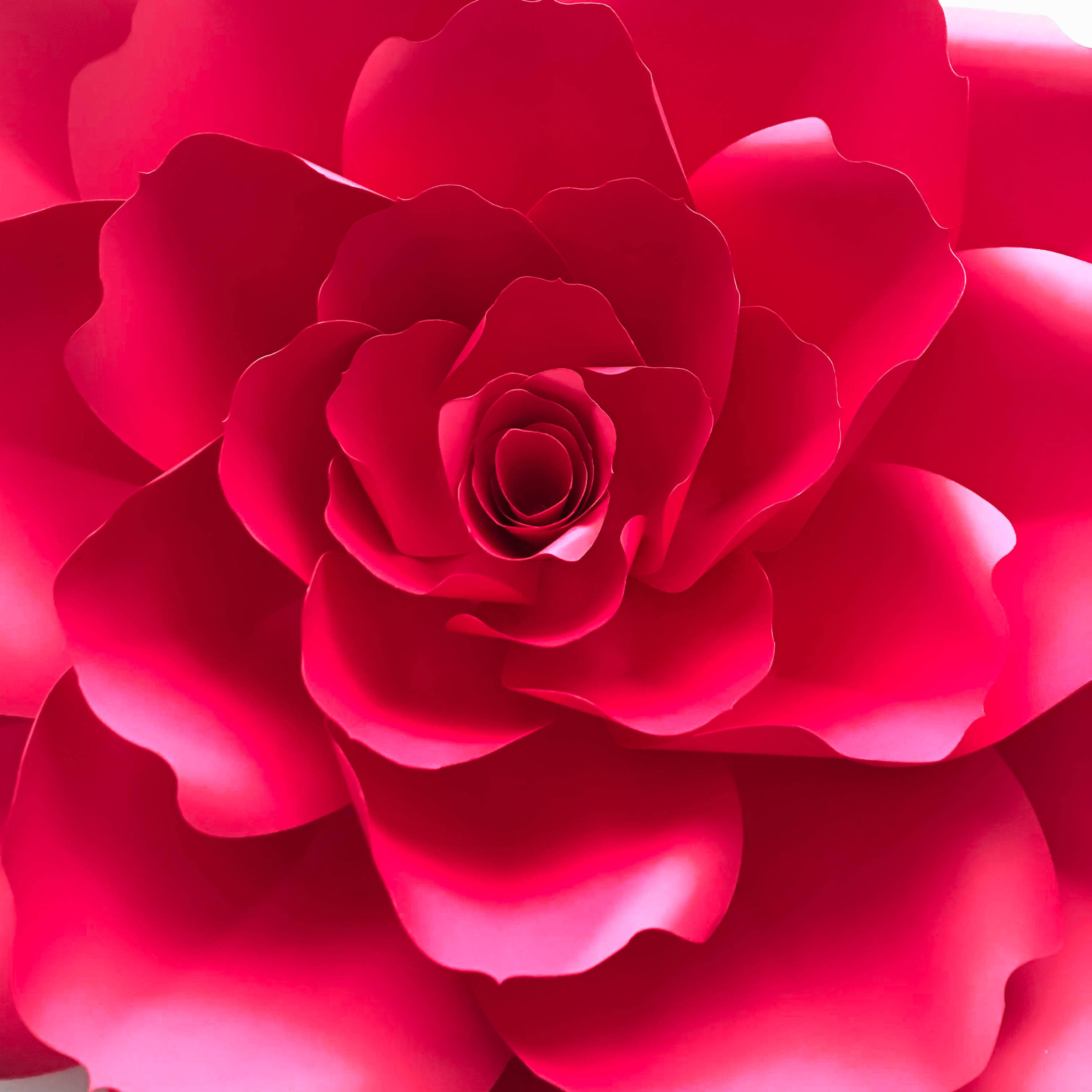 PDF Petal 31 Printable Giant Paper Flowers Template DIY Cut | Etsy España