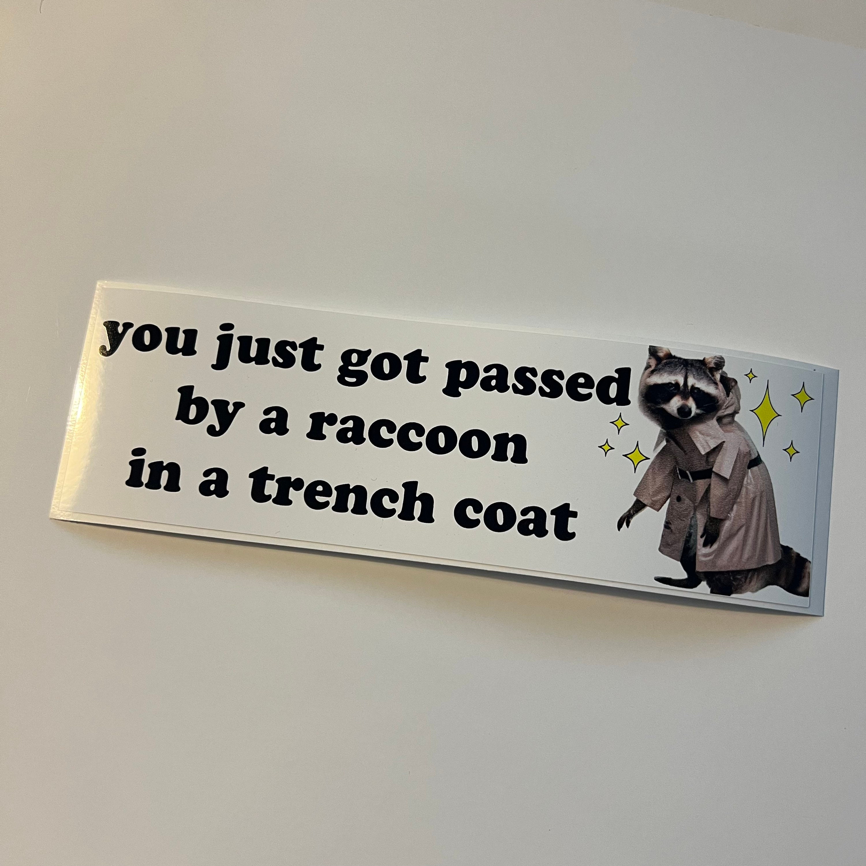 You just got passed by a raccoon in a trench coat bumper sticker