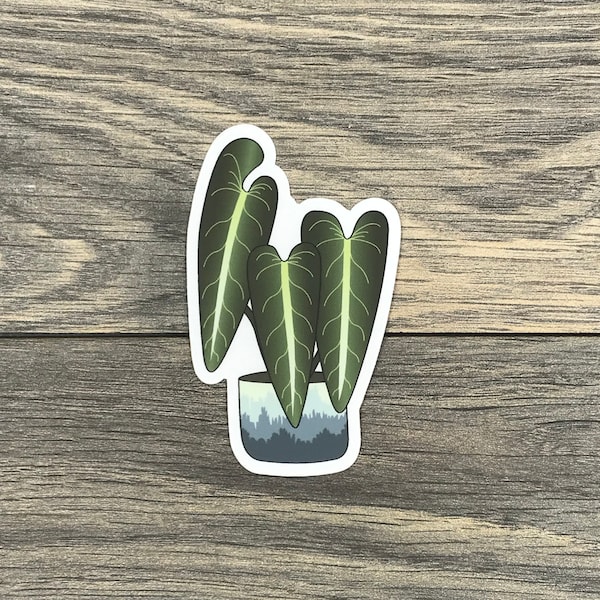 Philodendron Melanochrysum Sticker