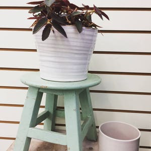 Puede incluir: Una maceta de cer&aacute;mica blanca con un dise&ntilde;o texturizado de l&iacute;neas horizontales, que contiene una planta con hojas de color rojo oscuro y verde. La maceta se encuentra sobre un peque&ntilde;o taburete de madera verde claro desgastado. Una segunda maceta de cer&aacute;mica rosa claro m&aacute;s peque&ntilde;a est&aacute; al lado del taburete.