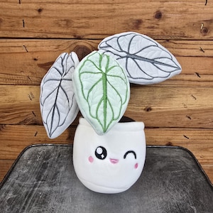 Alocasia Silver Dragon Plush