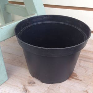 May include: An empty black plastic plant pot, ready for planting.