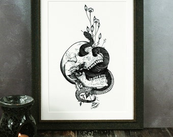 skull and snake tattoo studio art gallery