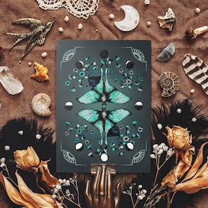 Carte postale Luna Moth - Phases de la lune - Illustration gothique de la nature - Art mystique de la mite - Fleurs sombres - Papeterie sorcière - Décoration gothique