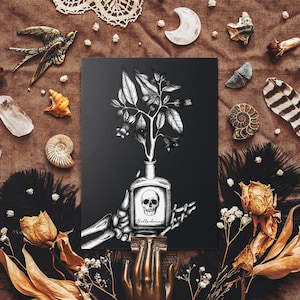 Belladonna Postkarte - Gothic Skeletthand und giftige Pflanze Illustration - Dark Botanical Decor - Makabre Kunst - Gothic Home Decor