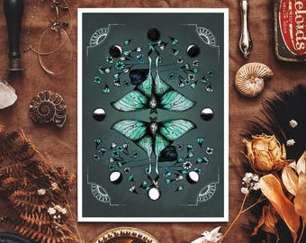 Luna Moth Giclée Print | Lunar Cycle Tarot Card Art