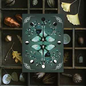 Luna Moth Postcard | Lunar Cycle Illustration | Tarot and Magic | Celestial Wall Art | Witchy Home Decor | Gothic Mini Print
