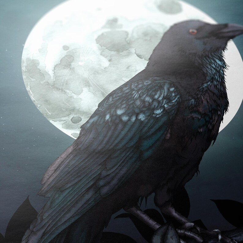 May include: A black raven with blue-grey feathers perched on a branch against a backdrop of a large, white moon with a watercolour-like texture.
