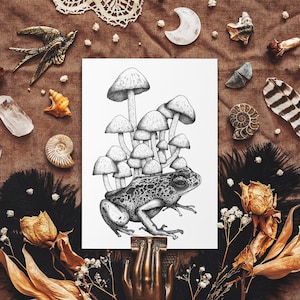 Carte postale grenouille et champignons - Illustration de la nature - Cottagecore Art - noir et blanc - impression botanique - forêt fantastique - Capricieux