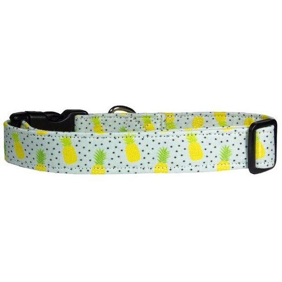 puppy collar cool collar Pineapple dog collar fruit print fun dog collar