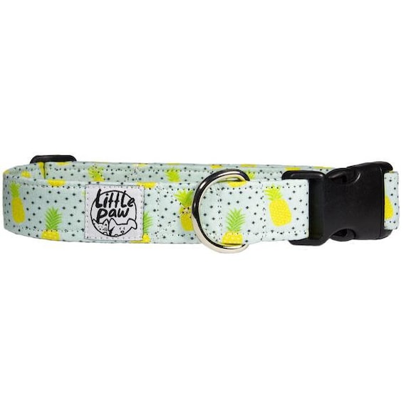 patterned dog collars