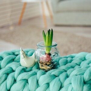 May include: A clear glass jar with a green hyacinth bulb growing inside, sitting on a teal chunky knit blanket. A white ceramic chicken figurine is next to the jar.