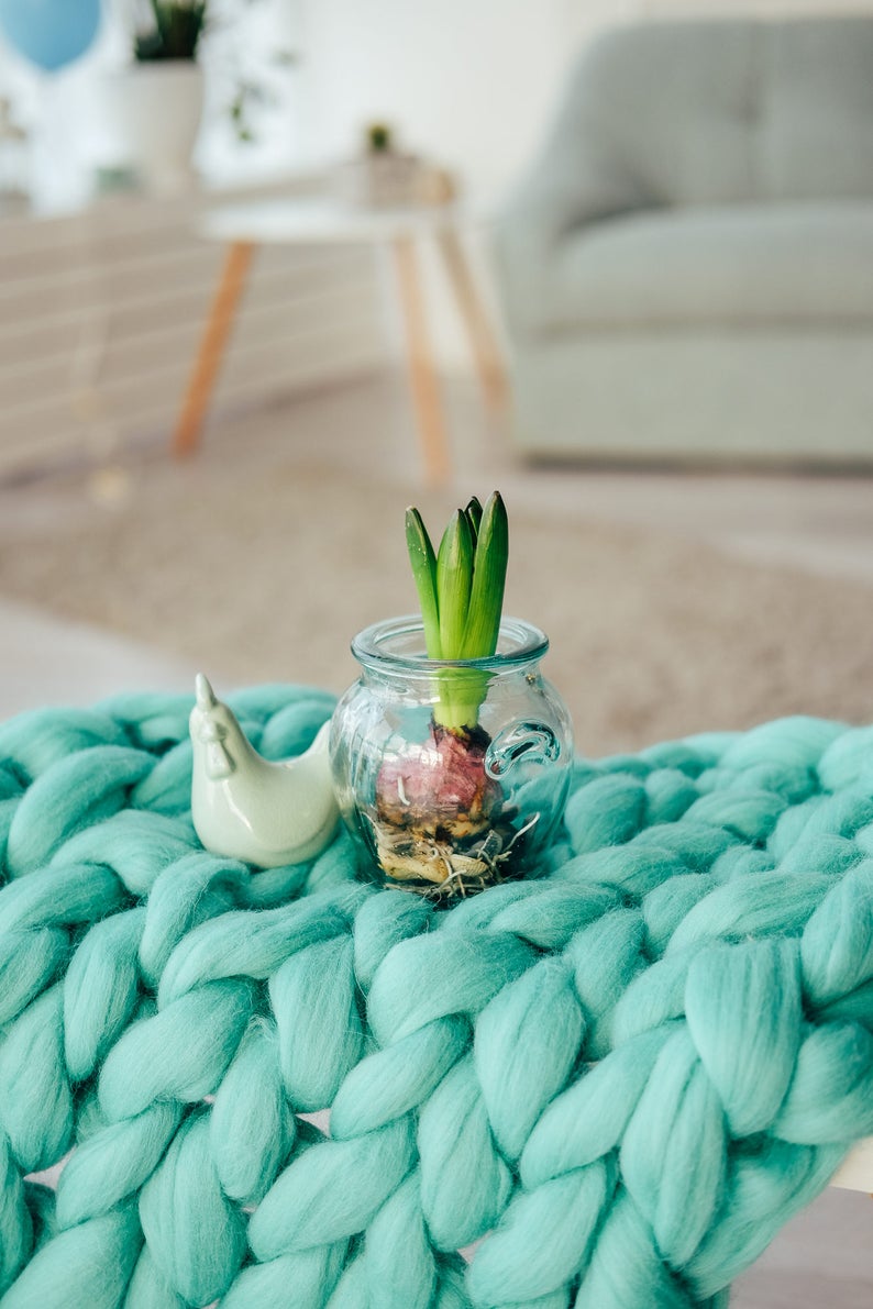 May include: A clear glass jar with a green hyacinth bulb growing inside, sitting on a teal chunky knit blanket. A white ceramic chicken figurine is next to the jar.