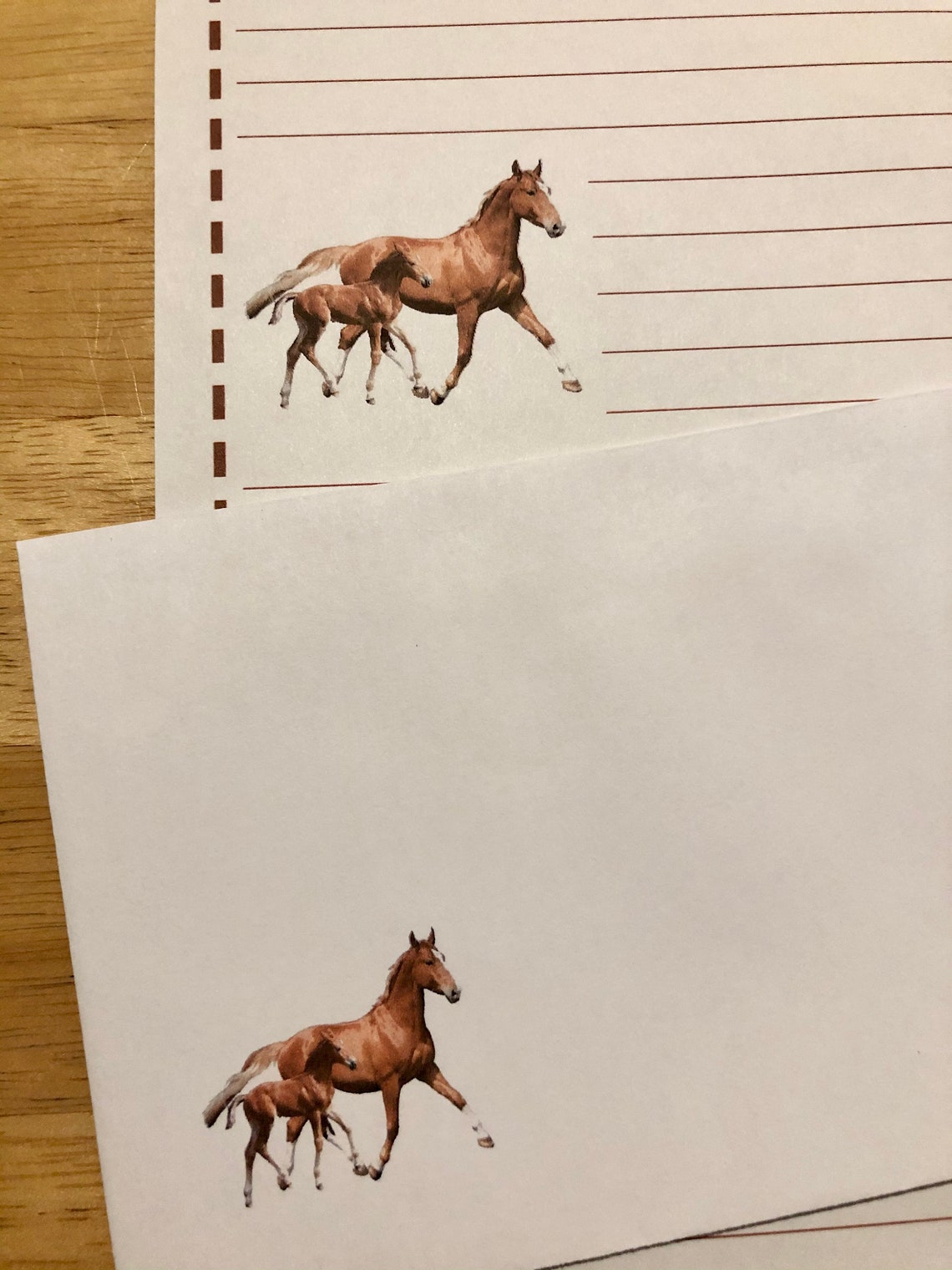 Horses Lined Stationery Set With 12 Sheets 6 Envelopes Snail | Etsy