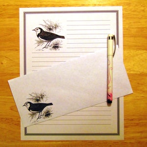 Greeting Cards Bird Sketch - Stationery Set 12 Sheets 12 Envelopes - Snail Mail -  Pen Pal Letters - Lined Stationary Writing Paper