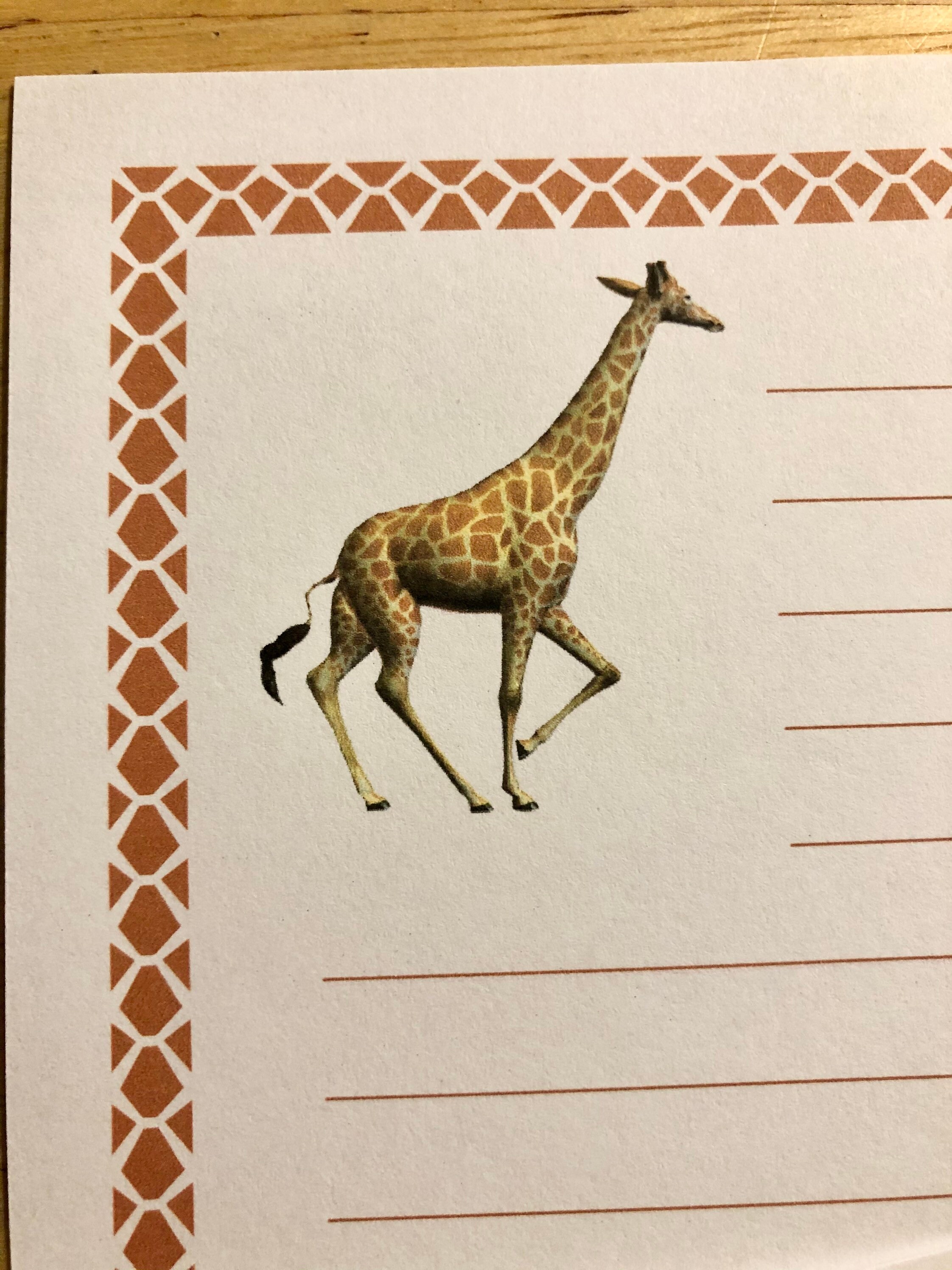 Beautiful Giraffe - Lined Stationery Set 12 Sheets 12 Envelopes - Snail ...