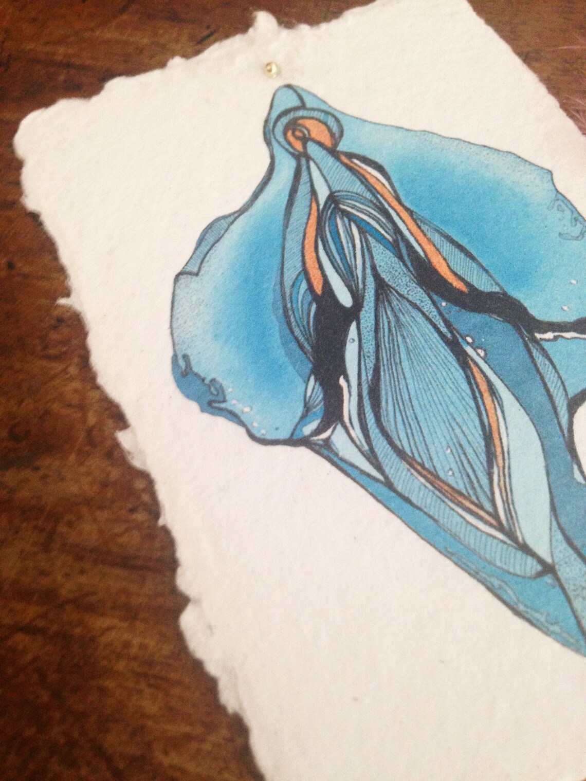 Tiny Vulva High Quality Limited Holy Vulva Print On Etsy tiny-vulva-high-quality-limited-holy-vulva-print-on-etsy