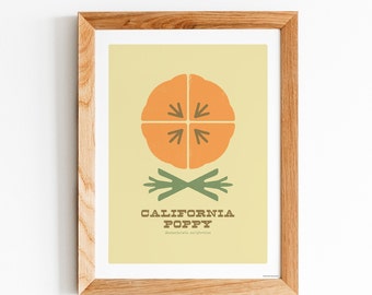 California Poppy