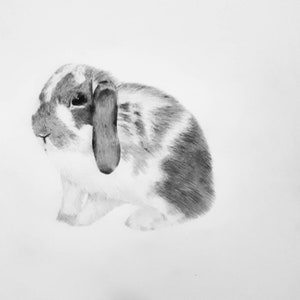 Customised A4 drawing