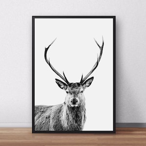 Hirsch-Druck, Waldtier-Wandkunst, Kinderzimmer zum Ausdrucken, Baby-Wald-Druck, Hirsch-Poster, Kinderzimmer-Dekor, Kunst, Hirschgeweih, Wald-Kinderzimmer